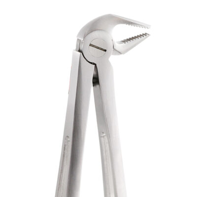 FORCEPS GATOREX INCISIV./CANIN. INF. Y PREMOL