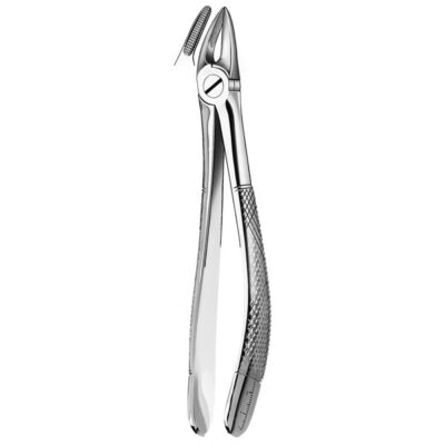 FORCEPS RAICES SUPERIORES