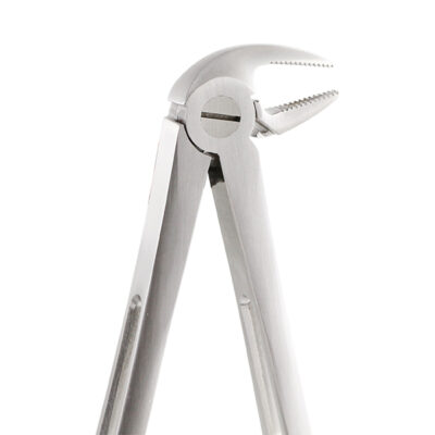 FORCEPS GATOREX RAICES INFERIORES