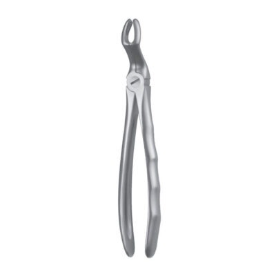 FORCEPS CORDAL SUPERIOR