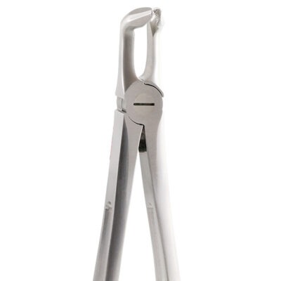 FORCEPS GATOREX CORDALES INFERIORES