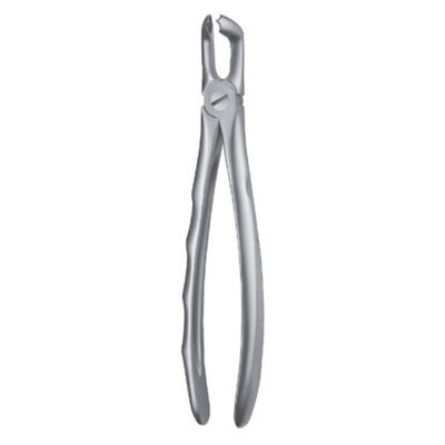 FORCEPS CORDALES INFERIORES
