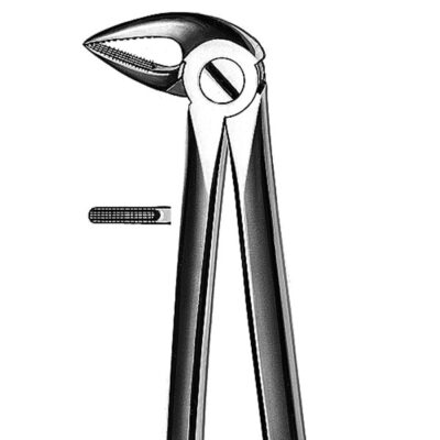 FORCEPS RAICES INF.