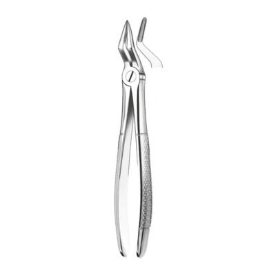 FORCEPS RAICES SUPERIOR.