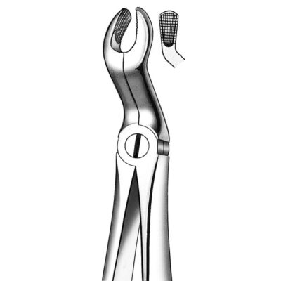 FORCEPS RAICES