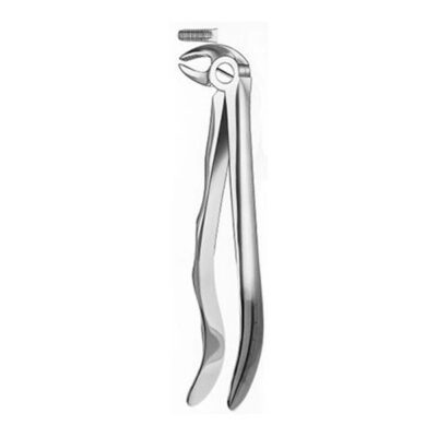 FORCEPS RAICES