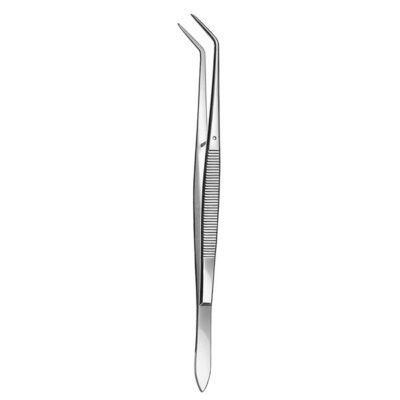 PINZA LISA FLAGG