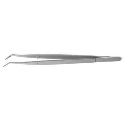 PINZA