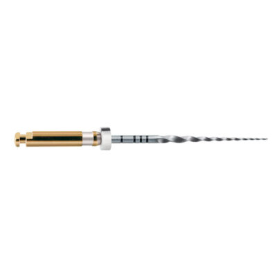 LIMAS PROTAPER GOLD S2 25mm. 6u. (A0410-2)