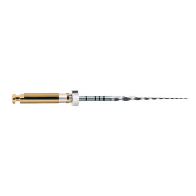 LIMAS PROTAPER GOLD S2 31mm. 6u. (A0410-2)