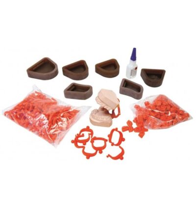 ARTICULADOR PLASTICO KIT