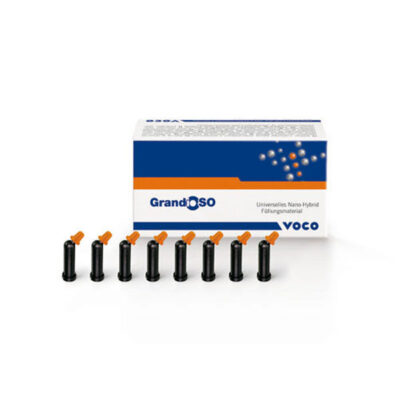GRANDIO CAPSULAS B2 1845 20x0.25gr.