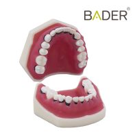 6165-TIPODONTO-DE-PERIODONCIA-SIN-ARTICULADOR.jpg Modelos de prótesis dentales personalizadas para odontología, impresiones precisas y ajuste perfecto para tratamientos de rehabilitación oral y estética dental.