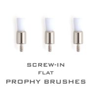 DF90400 Screw-in brochas de protesis, personalizadas y planas para odontología, adaptadas para restauraciones dentales, alta precisión en el cuidado bucal, disponibles en EXAmedic.