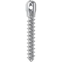 Tornillo dental personalizado de alta precisión para implantología oral, fabricado por EXAmedic.