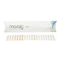 Mosaic Shade Guide Package