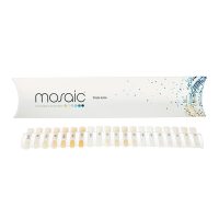 Mosaic Shade Guide Package