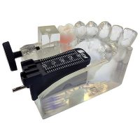 ZP59990_Gen_Endo-Training-Model-Castillo ZP59990_Gen_Endo-Training-Model-Castillo