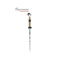 lima-reciproc-r40-6-unidades