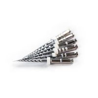 mconic-limas-retratamiento-6u